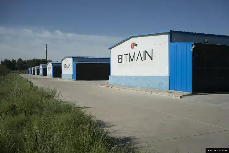 Large-scale mining farm hosting diverse cryptocurrency rigs